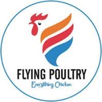 FLYING POULTRY SCHNITZEL MED PANKO 200-250gm (40)