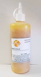 MANGO COULIS SQZ  BTL 500ml (18)