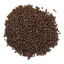 MUSTARD SEEDS BROWN 1kg