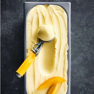 EVEREST MANGO SORBET 5lt V