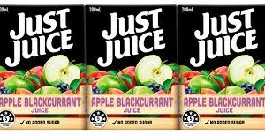 JUST JUICE APPLE & BLACKCURRANT 24x200ml