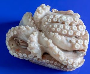SEA HARVEST OCTOPUS HEAD OFF (2kg-4kg) 15kg