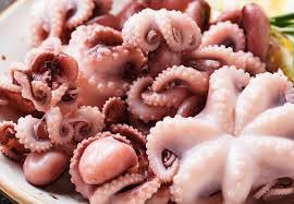 OCEANIC WHOLE BABY OCTOPUS 16/25   1kg  (10)