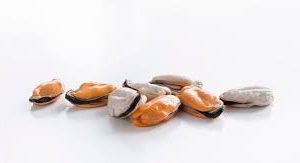FROZEN MUSSELL MEAT 1kg (12)