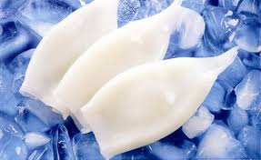 TOP SAIL SQUID TUBES 5kg  (BLUE)