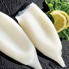 TOP SAIL PINE CUT SQUID U5 5kg TENDER(WHITE) 12441