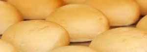 MAYMAX PAR BAKE BLANK(no jam) DONUTS (100)
