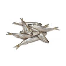 WHITEBAIT 10x1kg
